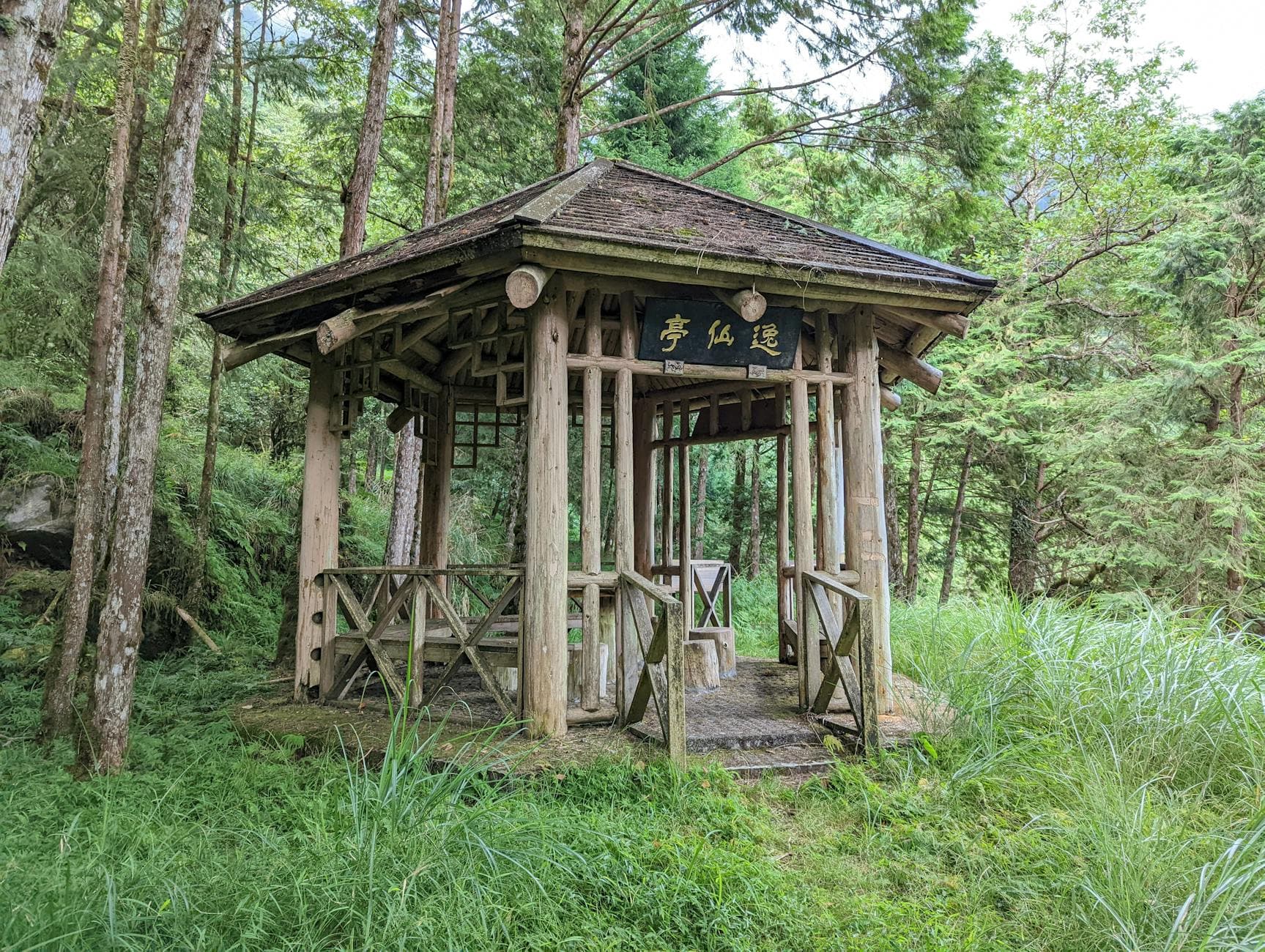 Sindrome dell'Impostore: Superare il Dubbio di Sé con Approcci Naturali