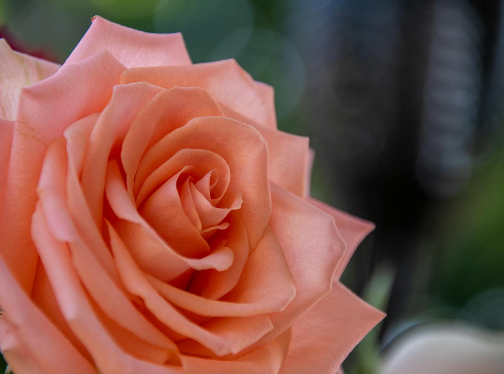 Alpha-gal Syndrome: Key Diet Mistakes Worsening Red Meat Allergy