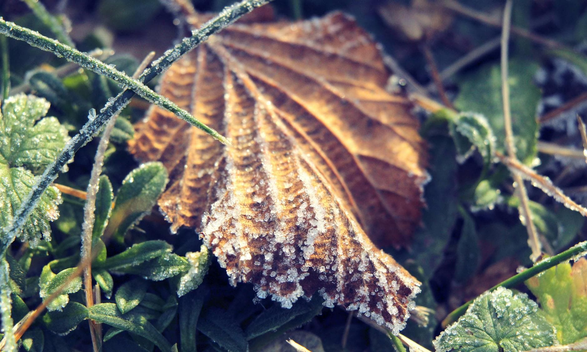 Finding Relief from Mild Depression: Natural Steps for Lasting Emotional Balance