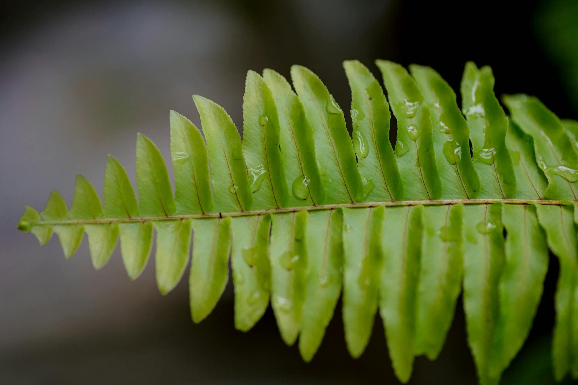 Fatica Post-Virale: 6 Errori Comuni che Impediscono la Piena Ripresa