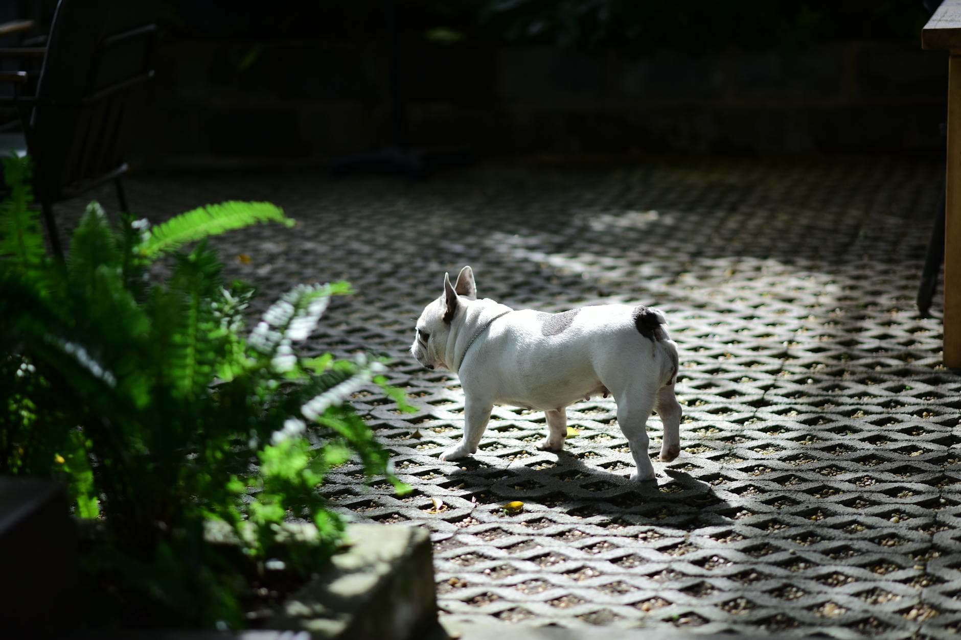 Perimenopoz Belirtileri: Vücudunuzdaki Değişimleri Tanıma ve Doğal Destek