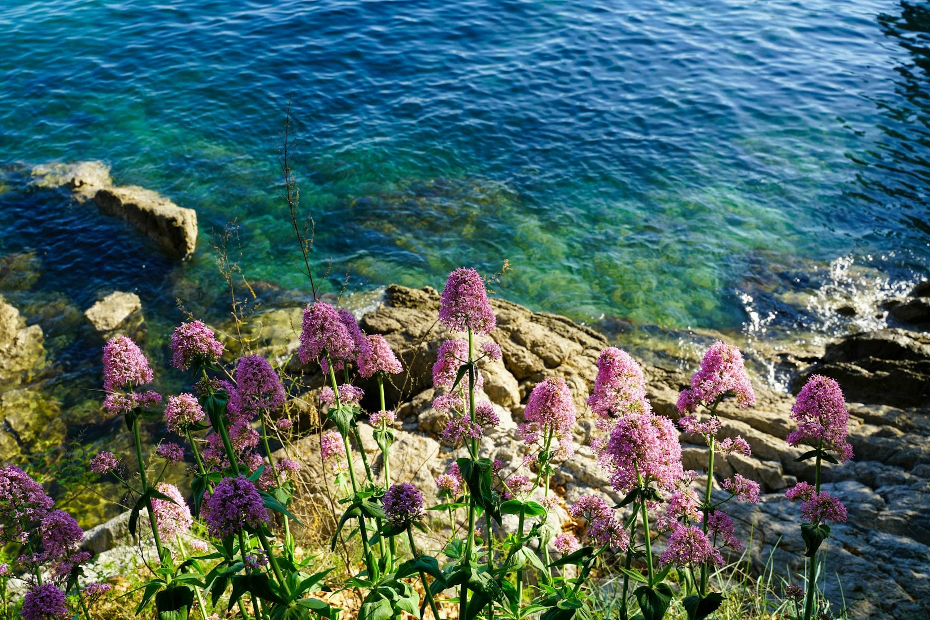 REM-Schlaf-Verhaltensstörung: Anzeichen erkennen und den Schlaf natürlich beruhigen