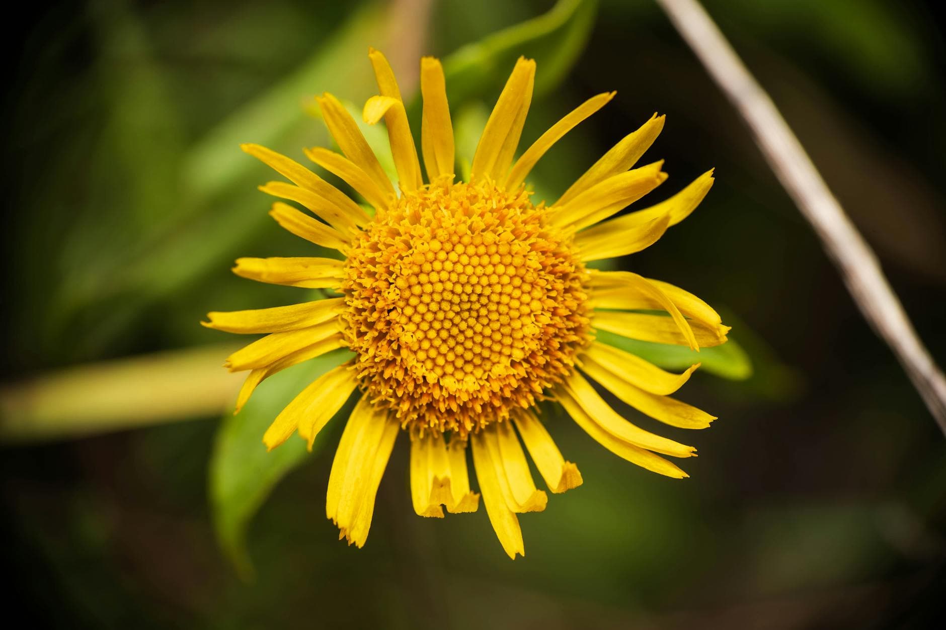 Epicondylitis: 5 Fehler, die Ihre Ellenbogenschmerzen verschlimmern