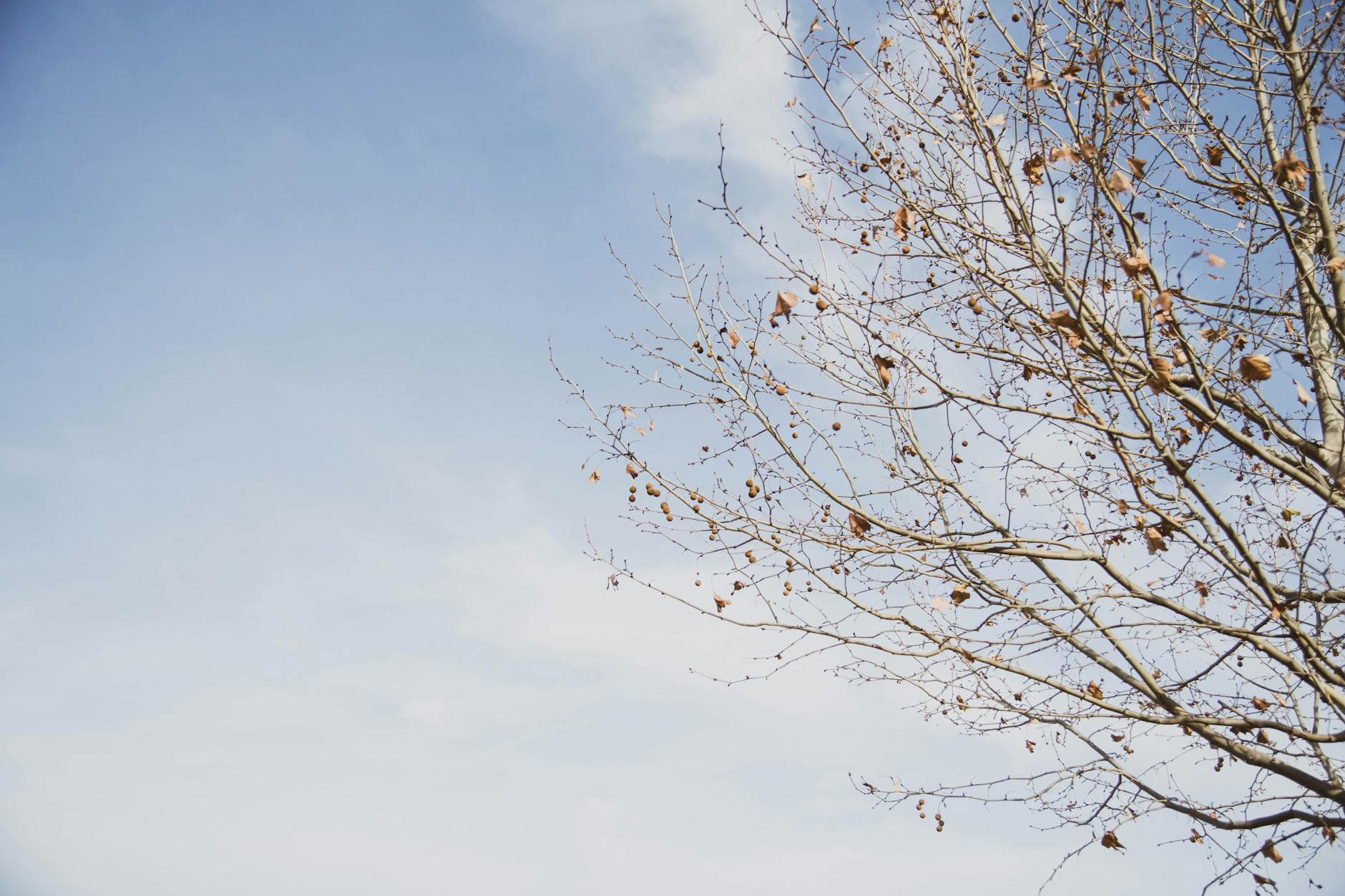 Multiple Chemical Sensitivity: Identifying Reactions and Holistic Immune Care