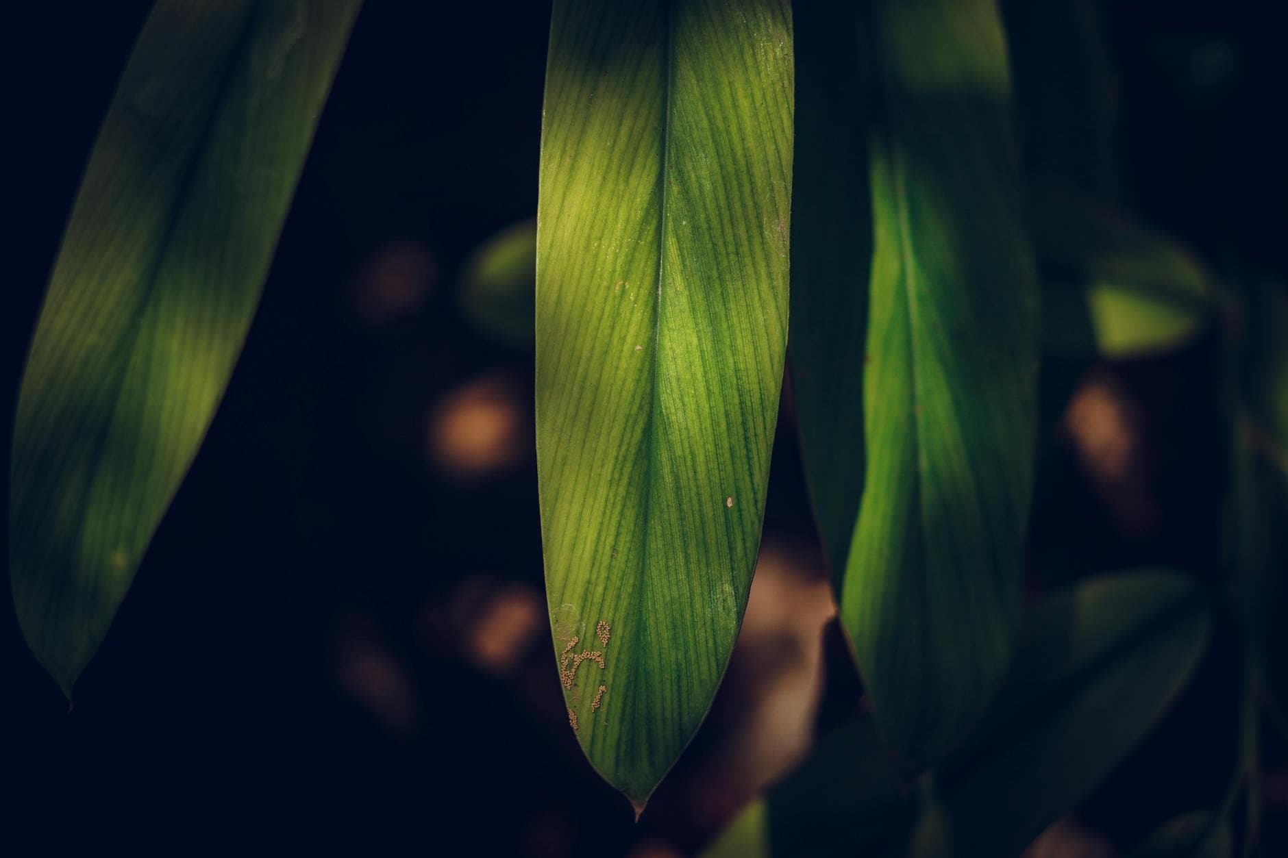 Fibromyalgie : 5 erreurs à éviter pour une gestion naturelle efficace