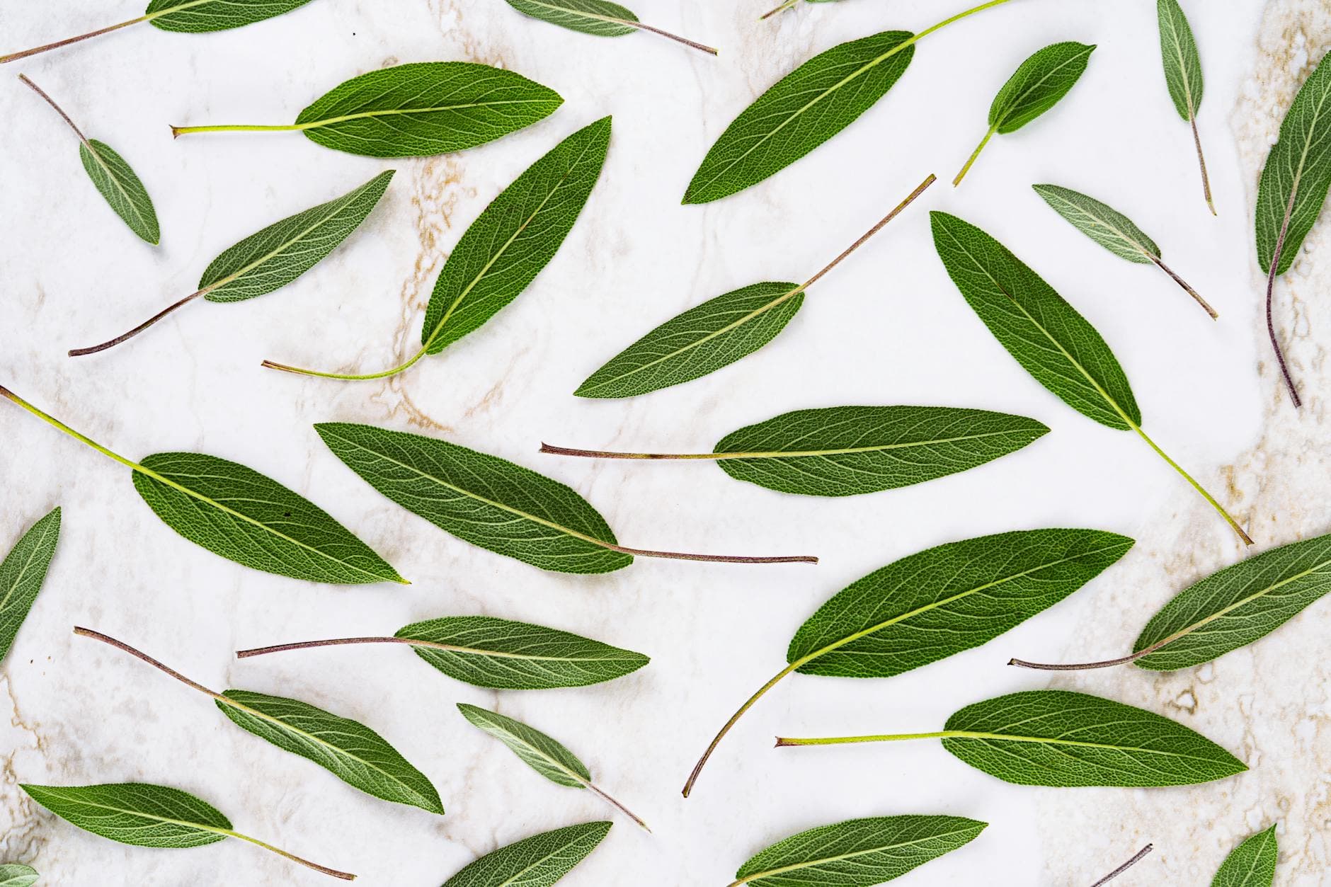 Warum nächtliches Schwitzen den Schlaf raubt: Ursachen und natürliche Wege zur Linderung