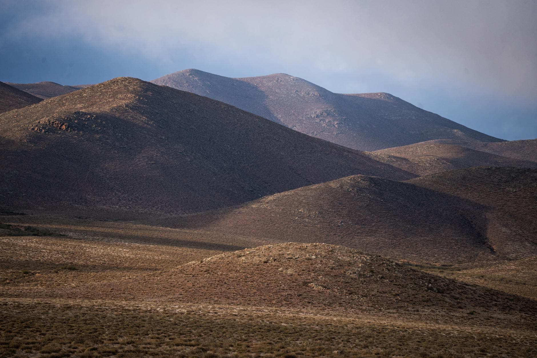 Estreñimiento Crónico Infantil: Signos, Causas y Alivio Natural