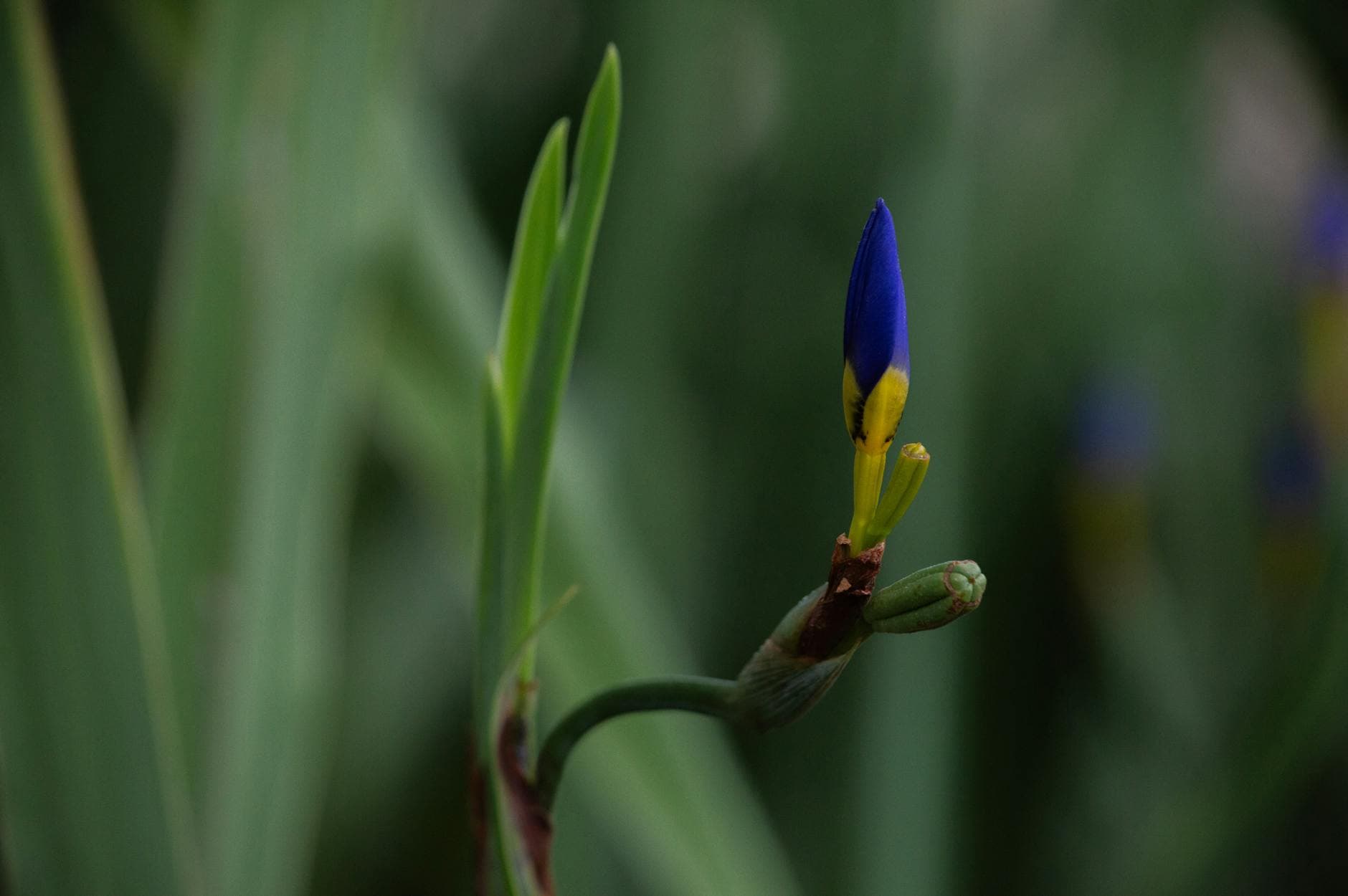Stanchezza Cronica: Percorsi Naturali per Energia e Chiarezza Mentale