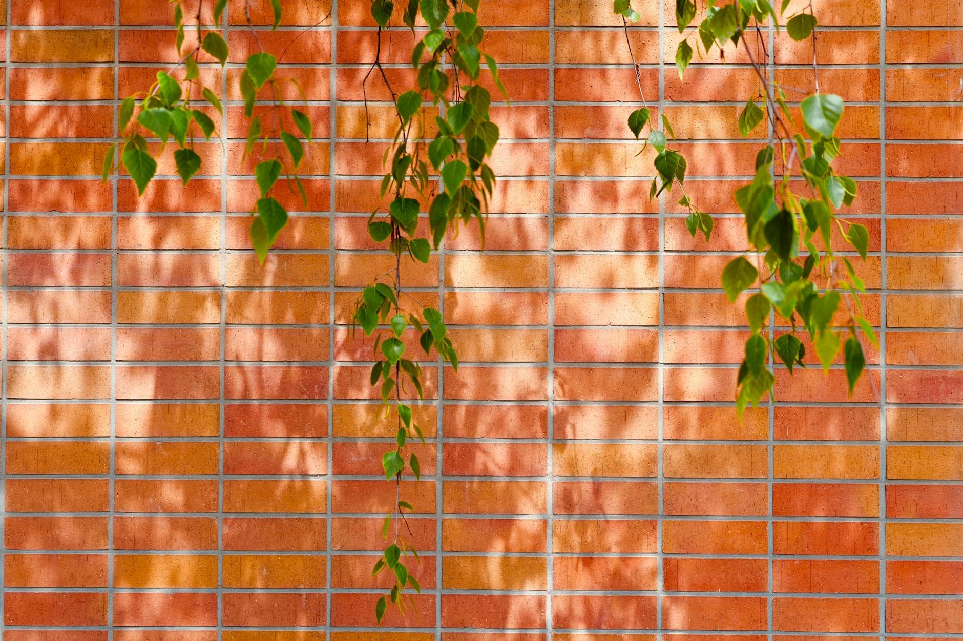 Laryngopharyngeal Reflux: Natural Strategies for Throat & Breathing Comfort