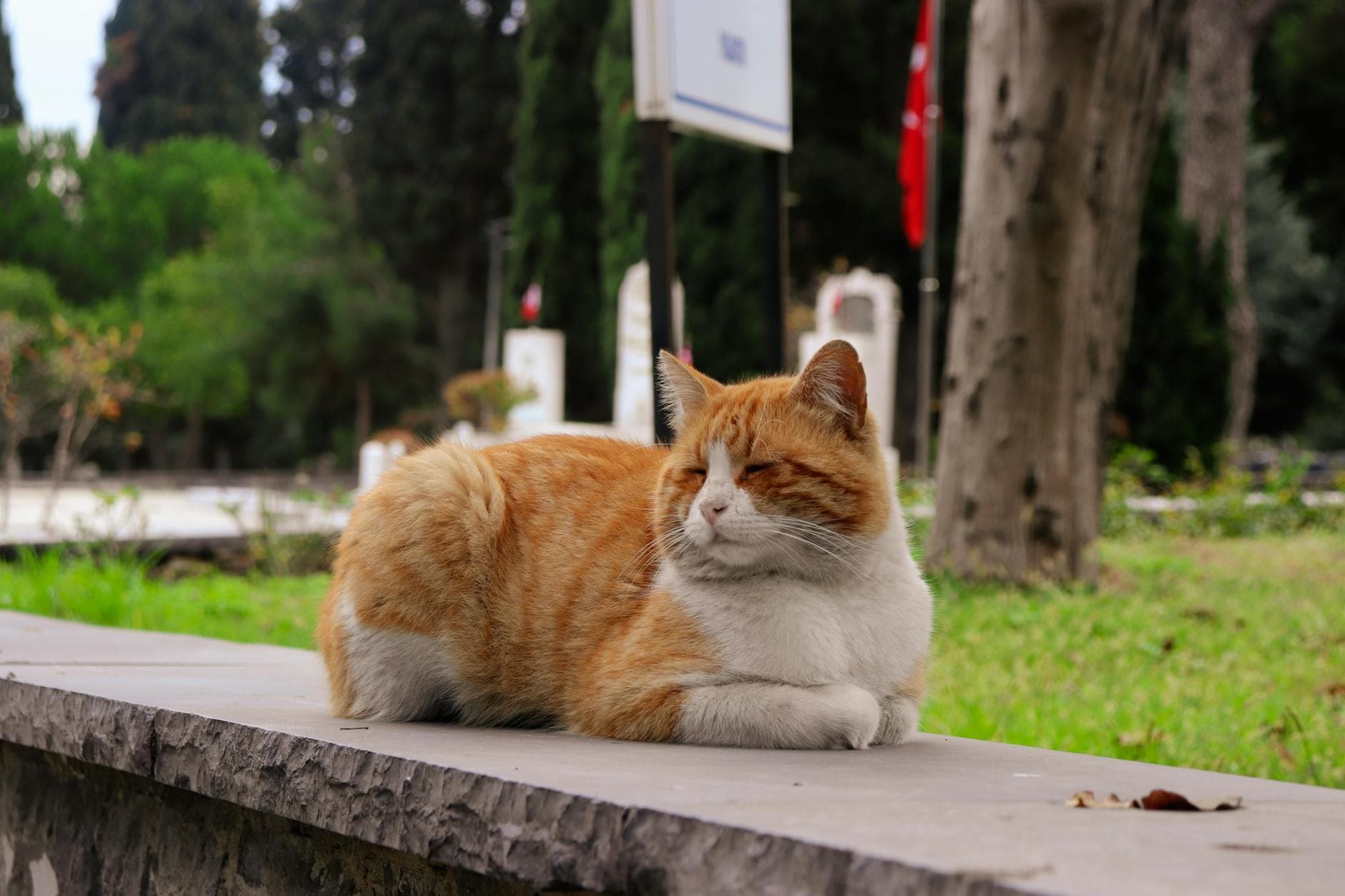 Schlaflosigkeit: 8 häufige Fehler, die Ihren Schlaf rauben