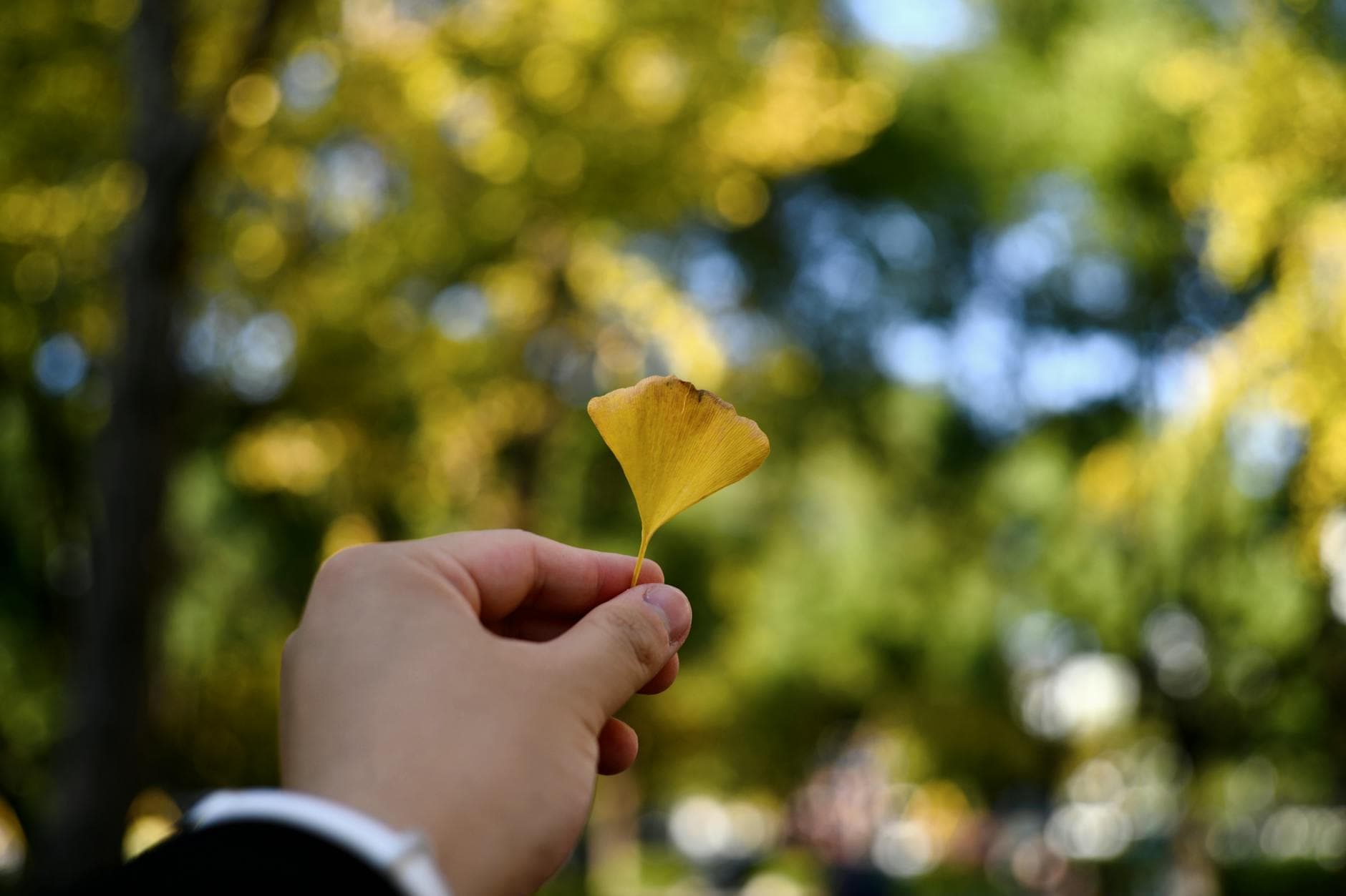 Ginecomastia: Errores a Evitar para un Equilibrio Hormonal Masculino Natural